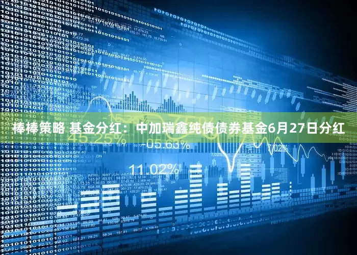 棒棒策略 基金分红：中加瑞鑫纯债债券基金6月27日分红