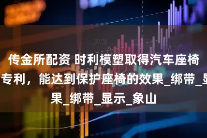 传金所配资 时利模塑取得汽车座椅吊钩组件专利，能达到保护座椅的效果_绑带_显示_象山