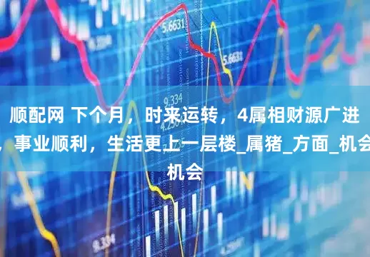 顺配网 下个月，时来运转，4属相财源广进，事业顺利，生活更上一层楼_属猪_方面_机会