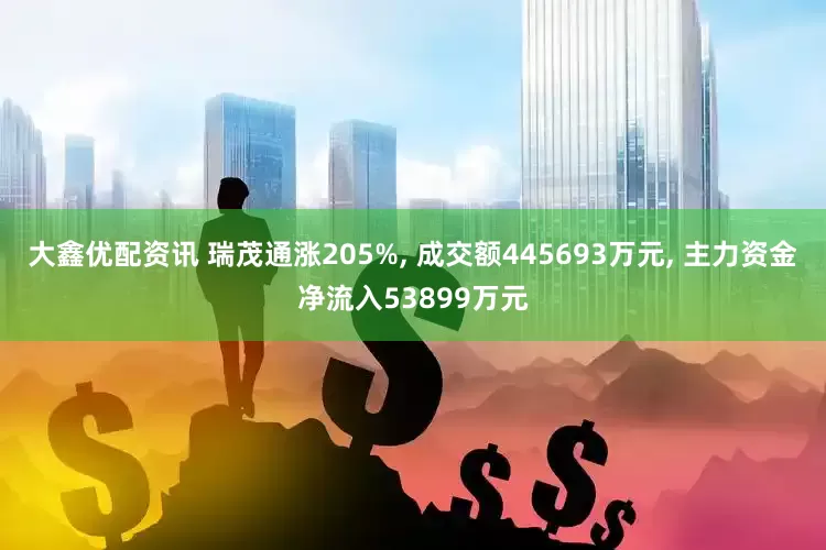 大鑫优配资讯 瑞茂通涨205%, 成交额445693万元, 主力资金净流入53899万元