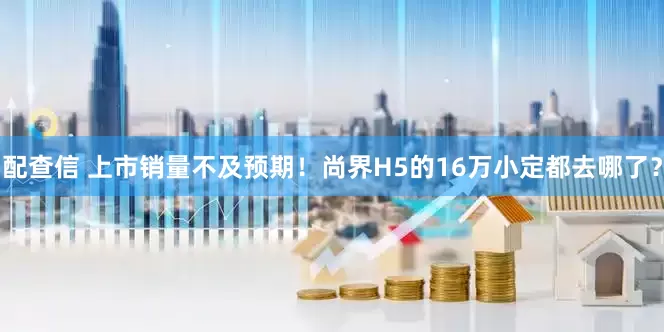 配查信 上市销量不及预期！尚界H5的16万小定都去哪了？