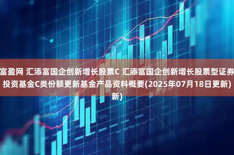 富盈网 汇添富国企创新增长股票C 汇添富国企创新增长股票型证券投资基金C类份额更新基金产品资料概要(2025年07月18日更新)