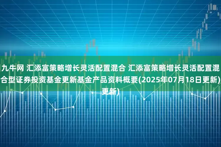 九牛网 汇添富策略增长灵活配置混合 汇添富策略增长灵活配置混合型证券投资基金更新基金产品资料概要(2025年07月18日更新)